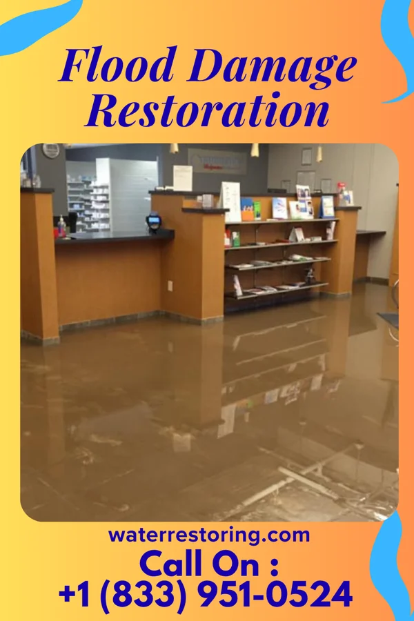 Flood Damage Restoration in Fernandina Beach, FL
