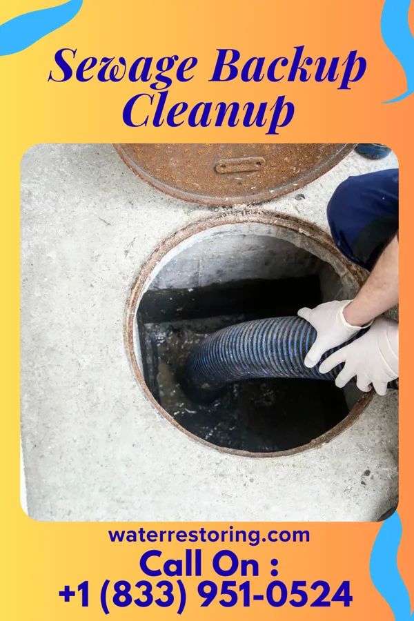 Sewage Backup Cleanup in Fernandina Beach, FL